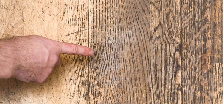 Wood Door Scratch Repair in The Villages